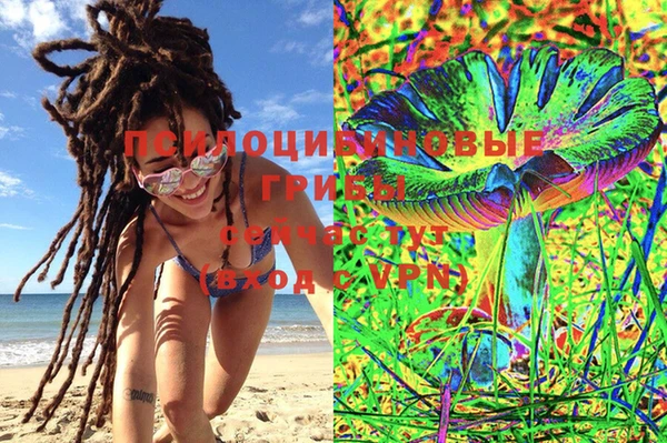хмурый Кулебаки