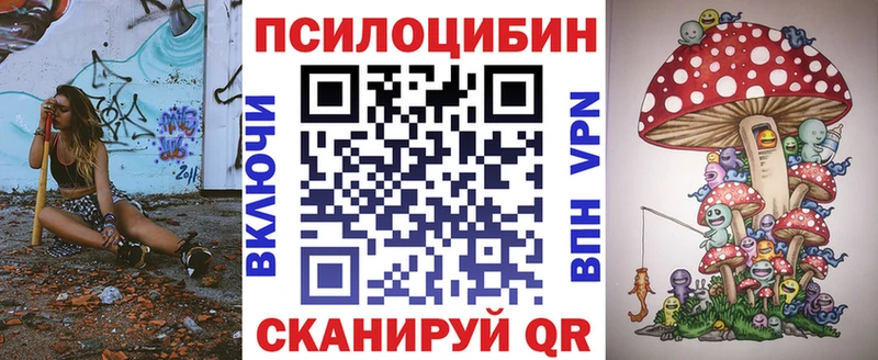 Псилоцибиновые грибы GOLDEN TEACHER  Купить закладки  Межгорье 